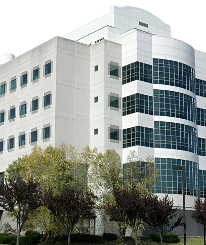 getpaidstock.com 689f048cc48fe removebg preview